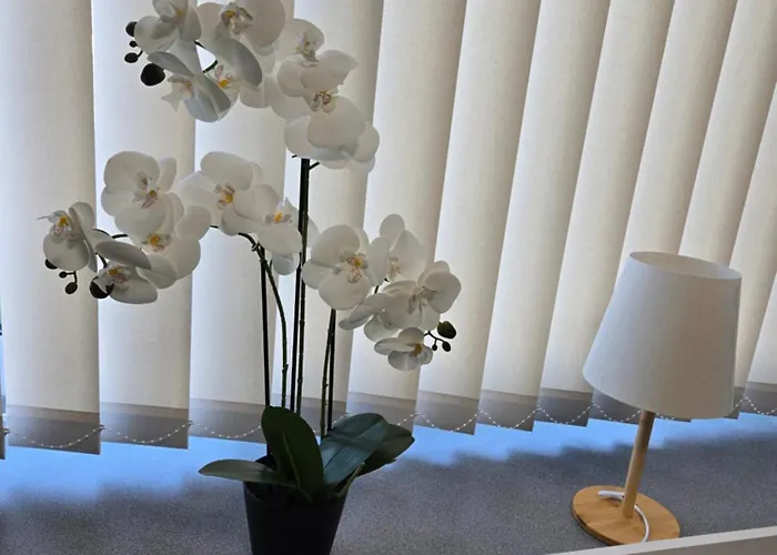 Hostel Transhostel Orhideja *